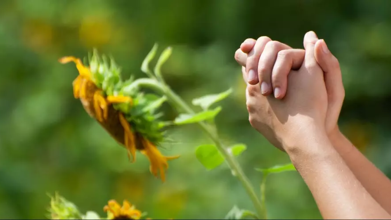 a10deacb-bb58-4546-b5d1-a9798a4b9e2a