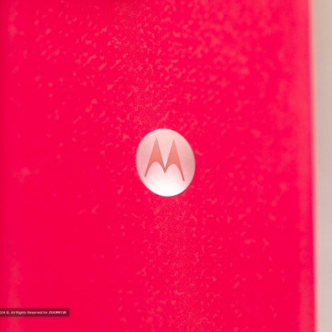 66a62987e152299e070c955b?w=800&q=95